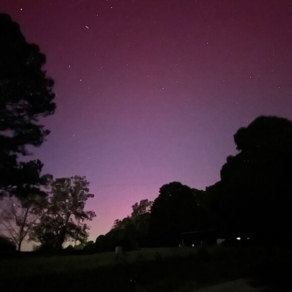 Meet your Posher, the Copper Daizy - Picture 1 of 1